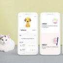 홈헬스케어 이미지