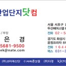 빙빙닷컴 이미지