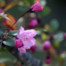 신구대학교 이미지