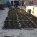 꽃사슴 민박 이미지