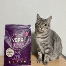 루기농장 | YORA 요라캣 건강한 곤충사료 체험후기