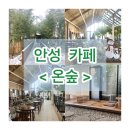 씨유 안성반제리점 | 안성 카페 온숲, 분위기 좋은 감성 호수뷰 카페 후기