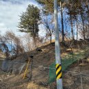 팔미농장 이미지