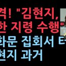 "김현지, 북한 지령 수행" 이미지