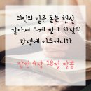 강릉양꼬치 이미지