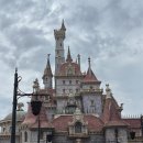 주식회사 퍼포먼스 | [도쿄] 도쿄 디즈니랜드 방문 후기 (DPA 없이 놀이기구타기)