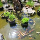 서울월촌초등학교 이미지