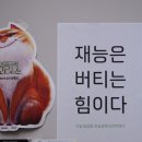 서울 여행 망원역 소품샵 파인드 스터프 후기