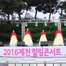 2016.6.14. 제천힐링콘서트 신벡체육공원에서 제천국악협회 공연 이미지