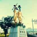 합강농장 네이버블로그