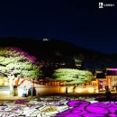 달빛 이미지