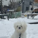 킨더그루밍 이미지