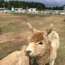 성재목장 이미지