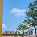 금강로1576번길1 이미지