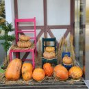 용인농촌테마파크 다정다감 이미지