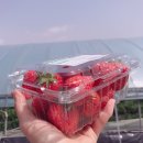 부여양송이마을 이미지