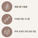 재생크림 추천, 리쥬비란 PDRN 5000ppm 리커버리 크림 사용 후기