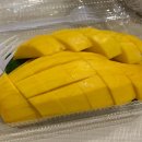 &lt;방콕/크라비&gt; 방콕의 마지막 일정들 정리 / 호박식당 / 왓포, 왓아룬, 촘아룬 / 아바니 리버사이드...