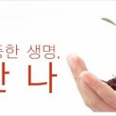 듀비스 이미지