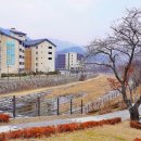 석문동천제방 이미지