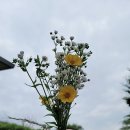 (주)아주농장 이미지
