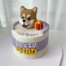 몽꾸먹꾸 이미지