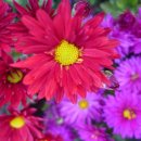 유림공원 이미지