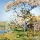 카바티나 이미지