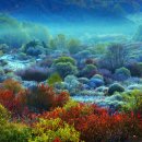 비밀의 정원 이미지