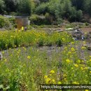 오뚜기부동산공인중개사사무소 이미지