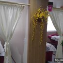 회천지압안마원 이미지