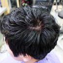 붕붕 소프트 이미지