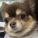 마마면가 | 놓쳤던 행복들이 이월됐으면 좋겠다.