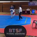 윤빛태권도 이미지