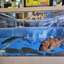 거제회직판장
