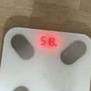 낮밤식당 - 시흥시 | 다이어트보조제 제트헬퍼 낮밤세트 몸무게변화 솔직후기
