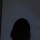 고양이천국 이미지