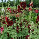 바람과 구름 이미지