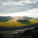 황금들녁 이미지