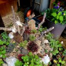 도연이네 민박 이미지