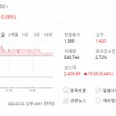 한솔약품(주) 이미지