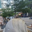 열린성심약국 이미지