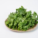 압록상상스쿨 이미지