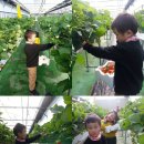 준영이네농장 이미지