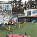 가평키즈풀빌라 추천! 조이키즈풀빌라 조이키즈룸 후기