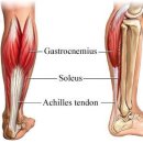 운동공간 정원 이미지