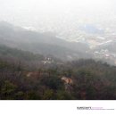 보령중학교 이미지