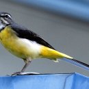 하추자연휴양림 이미지