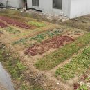 지세못입구 이미지