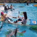 삼척미로정원 이미지